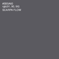 #5B5A60 - Scarpa Flow Color Image